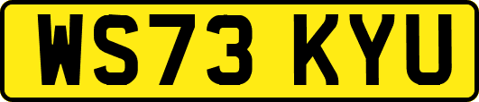WS73KYU