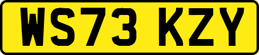 WS73KZY