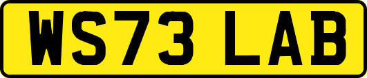 WS73LAB