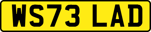 WS73LAD