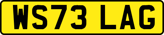 WS73LAG