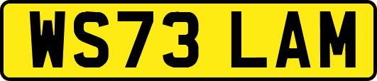 WS73LAM