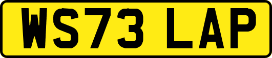 WS73LAP
