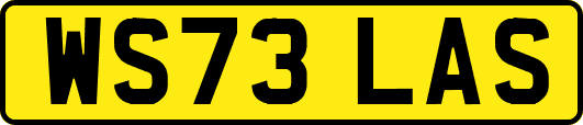 WS73LAS