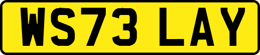 WS73LAY