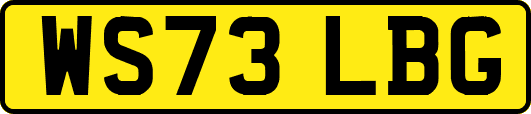 WS73LBG