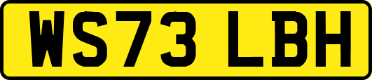 WS73LBH