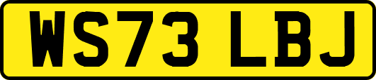 WS73LBJ