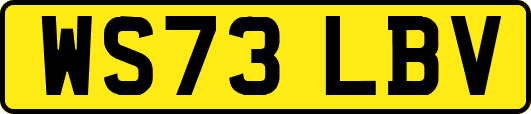 WS73LBV