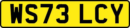 WS73LCY