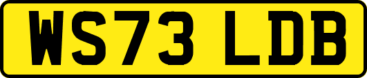 WS73LDB
