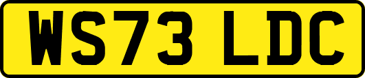 WS73LDC