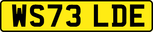 WS73LDE