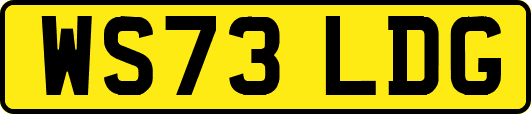 WS73LDG