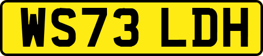 WS73LDH