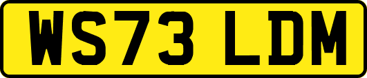 WS73LDM