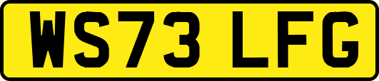 WS73LFG