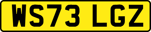 WS73LGZ
