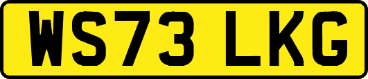 WS73LKG