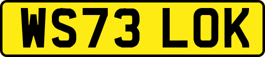 WS73LOK