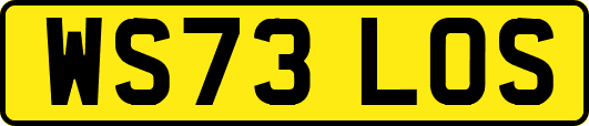 WS73LOS