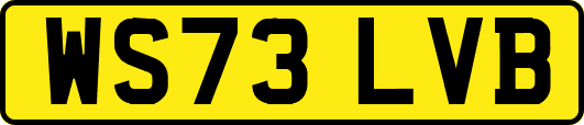 WS73LVB