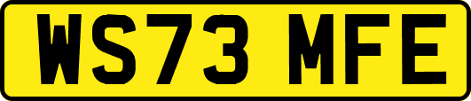 WS73MFE