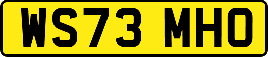 WS73MHO