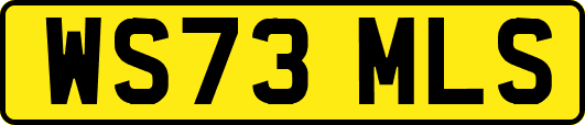 WS73MLS