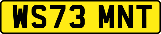 WS73MNT