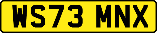 WS73MNX