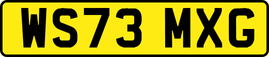 WS73MXG