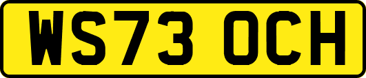WS73OCH