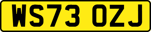 WS73OZJ