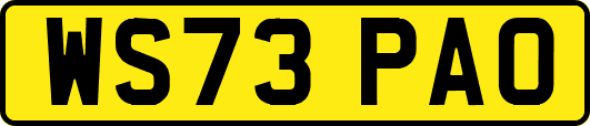 WS73PAO