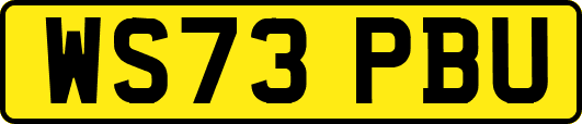 WS73PBU