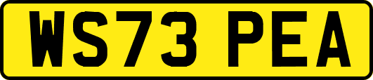 WS73PEA
