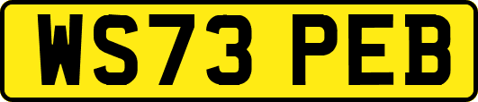 WS73PEB