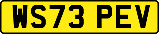 WS73PEV