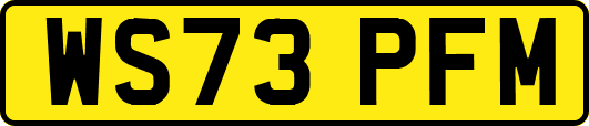 WS73PFM