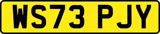 WS73PJY
