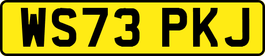 WS73PKJ