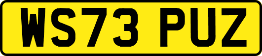 WS73PUZ