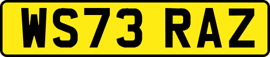 WS73RAZ