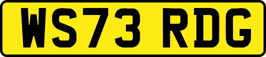 WS73RDG