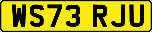 WS73RJU