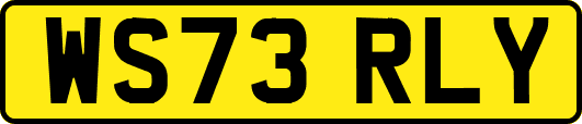 WS73RLY