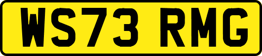 WS73RMG