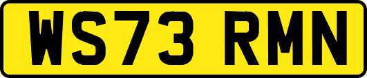 WS73RMN