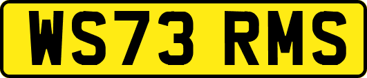 WS73RMS